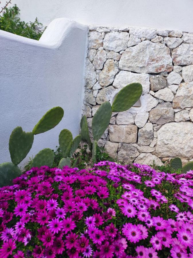 ماتيناتا Dimora Mediterranea المظهر الخارجي الصورة