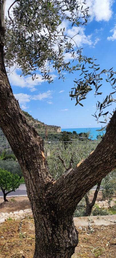 ماتيناتا Dimora Mediterranea المظهر الخارجي الصورة