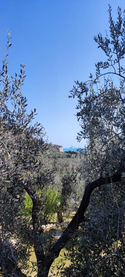 ماتيناتا Dimora Mediterranea المظهر الخارجي الصورة